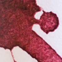 Row 7 and Arcus Vinetum Wine Labels